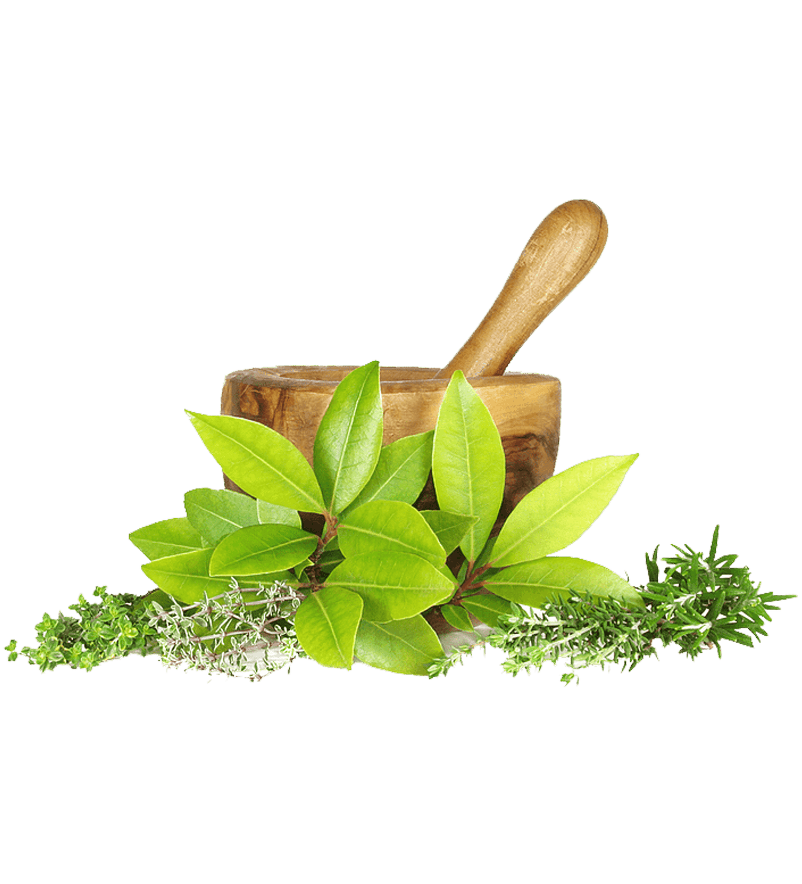 CHV FAMILY Supplements